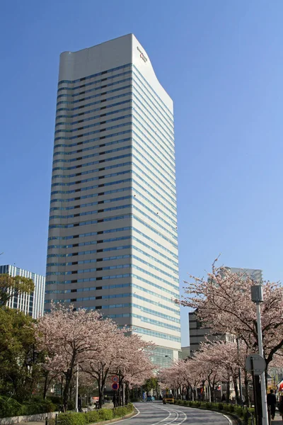 Flores Cerezo Avenida Sakura Dori Yokohama Japón — Foto de Stock