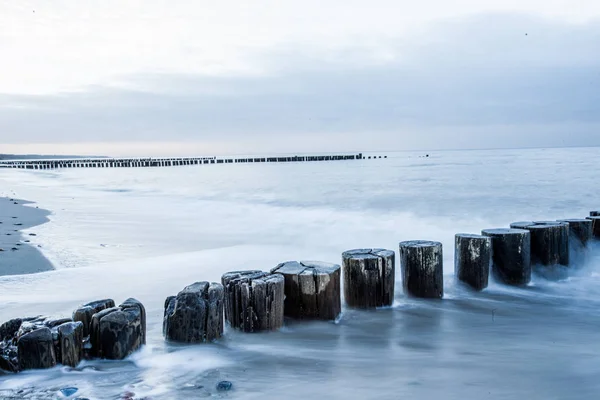 Заросли Балтийском Морском Пляже — стоковое фото