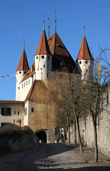 Vue Panoramique Sur Architecture Majestueuse Château Médiéval — Photo