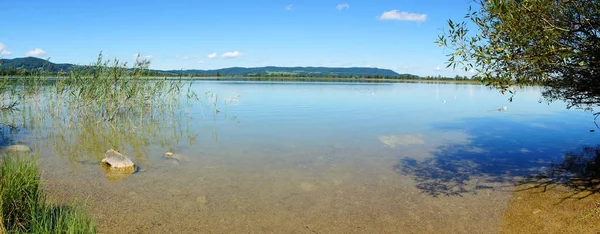 Kochelsee Edge Alps Bavaria Panorama Summer — Fotografia de Stock