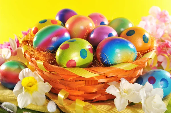Colorful Easter Basket Painted Easter Eggs Daffodils Pussy Willow — Stock Photo, Image
