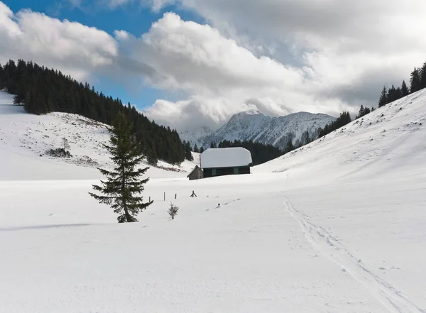 Traces Skitour Sur Paysage Alpin — Photo