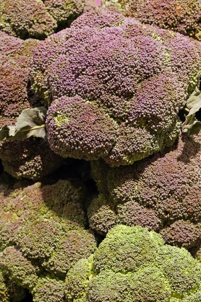 Broccoli Organic Vegetables Market — Stock Photo, Image