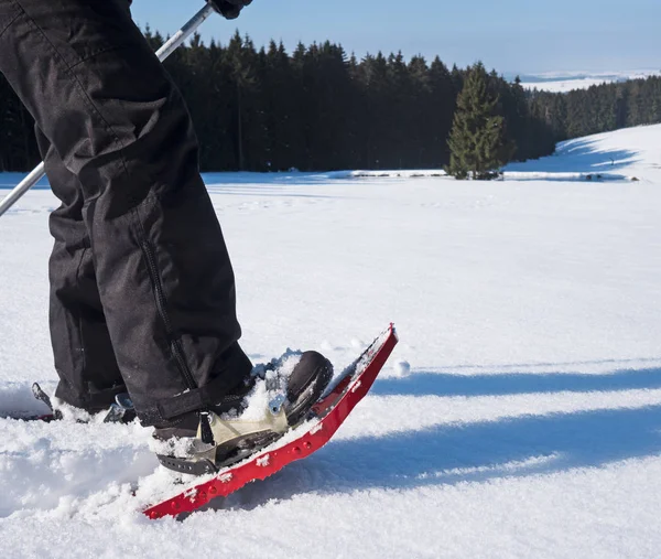 Sneeuwschoen Middelste Bergen — Stockfoto