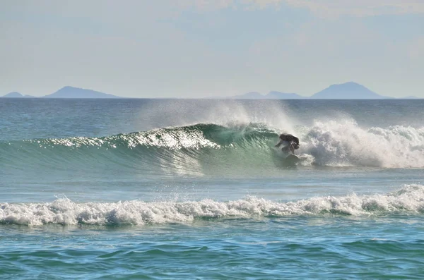 Surfen Zeehondenrotsen — Stockfoto