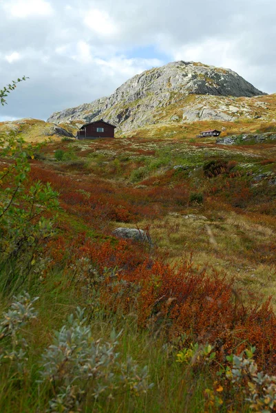 Noorwegen Natuur Landschap Achtergrond — Stockfoto