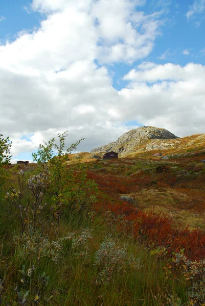 Norvège Sur Fond Paysage Naturel — Photo