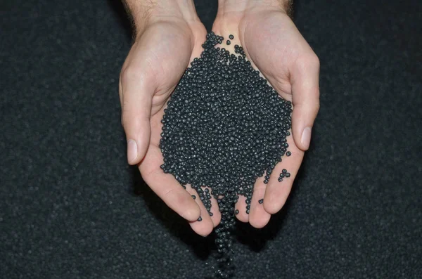 black sesame seeds in the hands of the dead sea