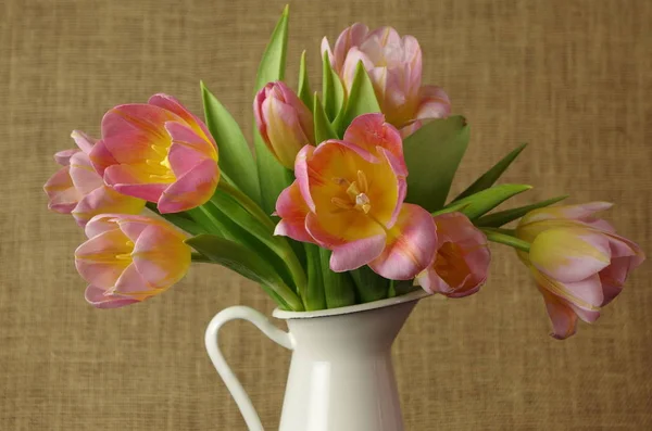 Beautiful Spring Tulips Petals Spring Flowers — Stock Photo, Image