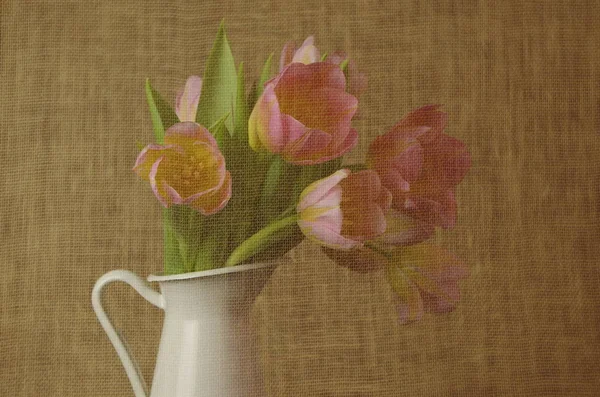Όμορφες Ανοιξιάτικες Τουλίπες Ανοιξιάτικα Λουλούδια — Φωτογραφία Αρχείου