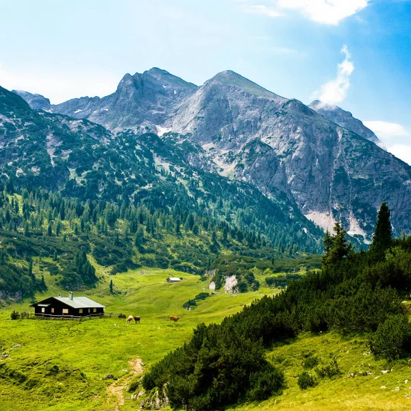Καταπληκτική Φύση Στις Άλπεις Βουνά Φόντο — Φωτογραφία Αρχείου