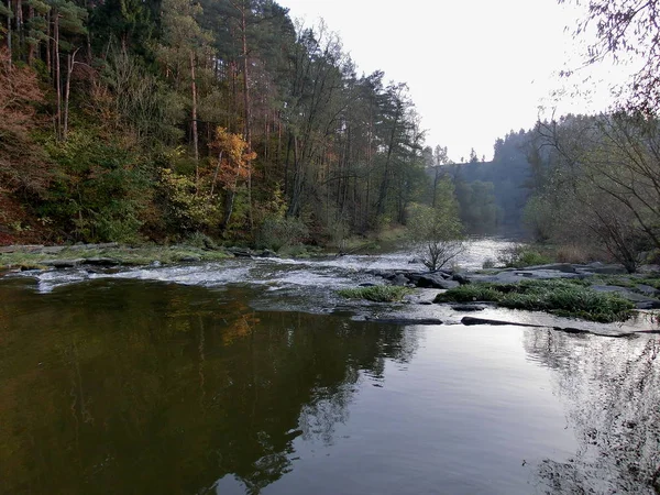 Río Bosque — Foto de Stock