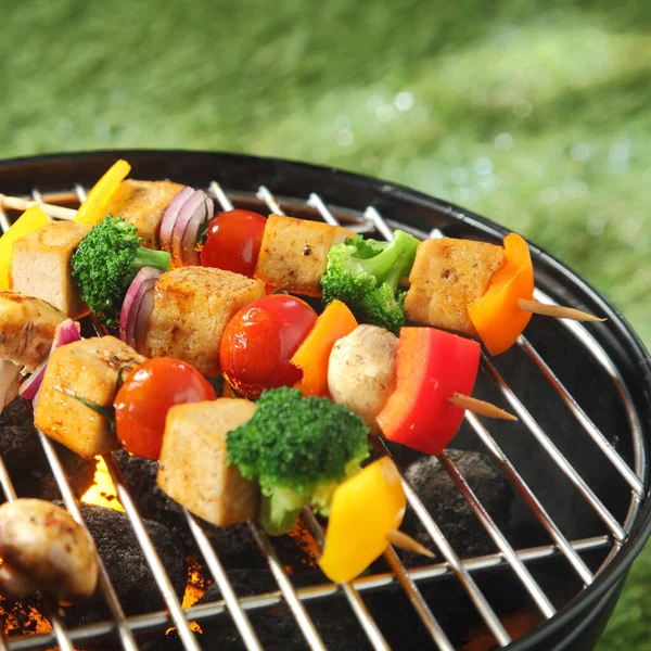 Tofu Skewers Colorful Vegetables Including Broccoli Sweet Pepper Smoked Tofu — Stock Photo, Image