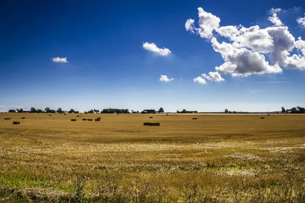 Wide Mowed Crop Fields Blue Sky Clouds — Stock Photo, Image