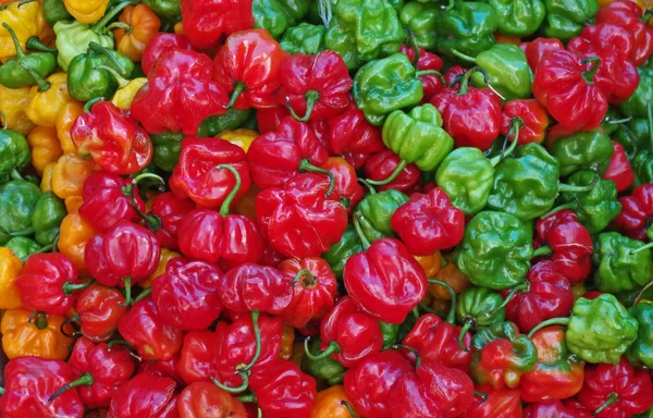 peppers at a local market in the caribbean