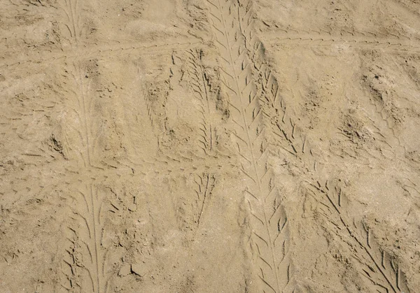 Pistas Neumáticos Textura Sobre Arena Playa Fondo — Foto de Stock