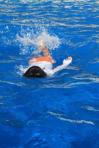 Japanischer Junge Schwimmt Pool Jahre Alt — Stockfoto