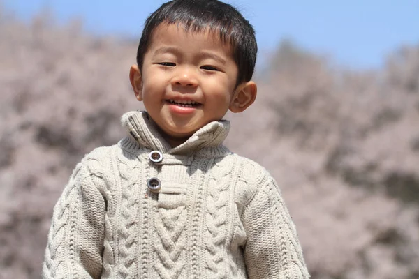 Ιαπωνικό Αγόρι Και Άνθη Κερασιάς Ετών — Φωτογραφία Αρχείου