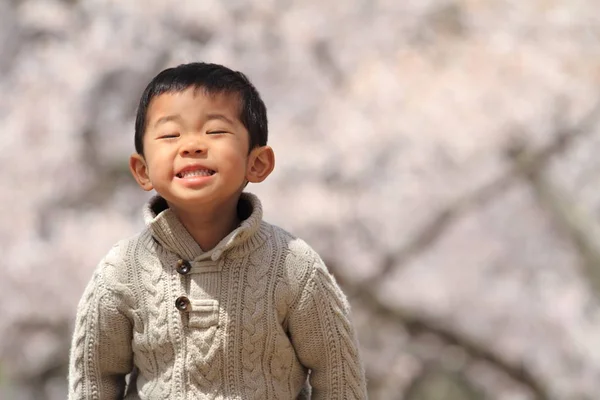 Ιαπωνικό Αγόρι Και Άνθη Κερασιάς Ετών — Φωτογραφία Αρχείου