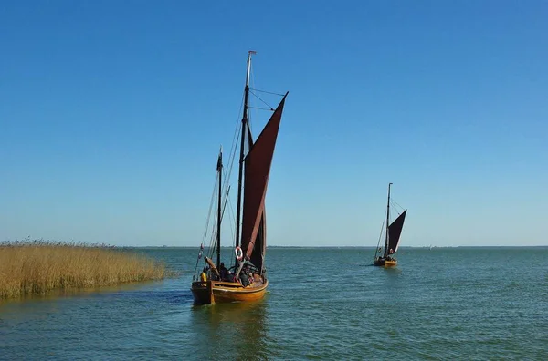 Zeesenboot Saal Bodden Darss Zingst — Stockfoto