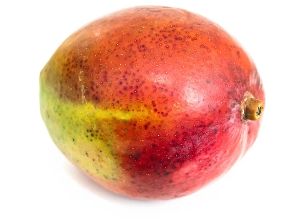 Foto Del Mango Único Sobre Fondo Blanco — Foto de Stock