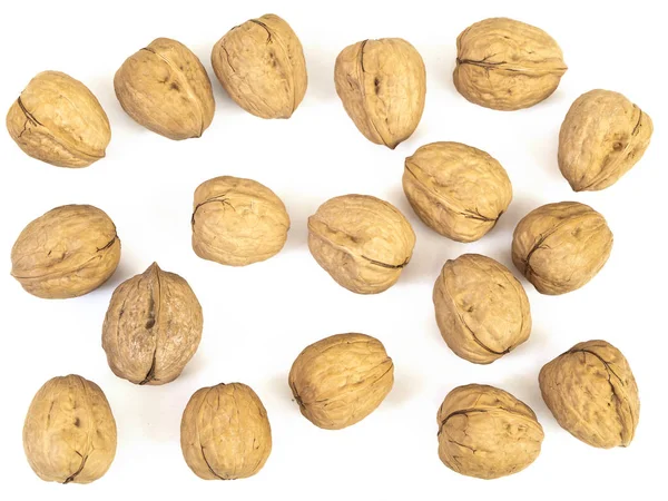 Photo Walnuts White Background — Stock Photo, Image