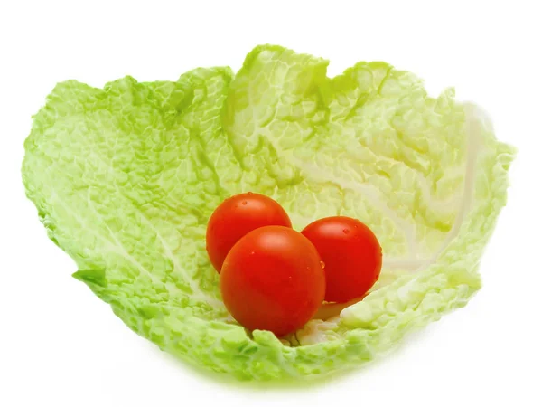 Tree Small Tomatoes Cabbage Leaf — Stock Photo, Image