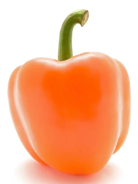 Foto Van Single Orange Paprika Tegen Witte Achtergrond — Stockfoto