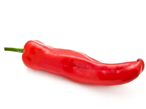 Foto Del Único Pimiento Rojo Sobre Fondo Blanco — Foto de Stock