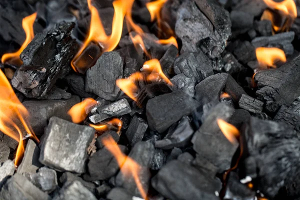 Carboncino Bruciato Con Fiamme Sulla Griglia — Foto Stock