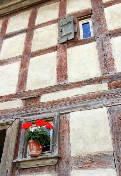 Çiçek Süslemeli Pencereli Tudor Biçimi — Stok fotoğraf