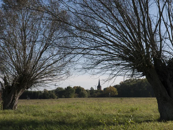 トランプ 自治体ブライディン 地区バルニム 州ブランデンブルク 牧草地の後ろに教会のある村 — ストック写真