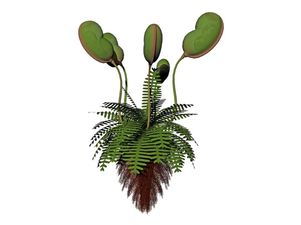 Art Volume Plant Illustration — 图库照片