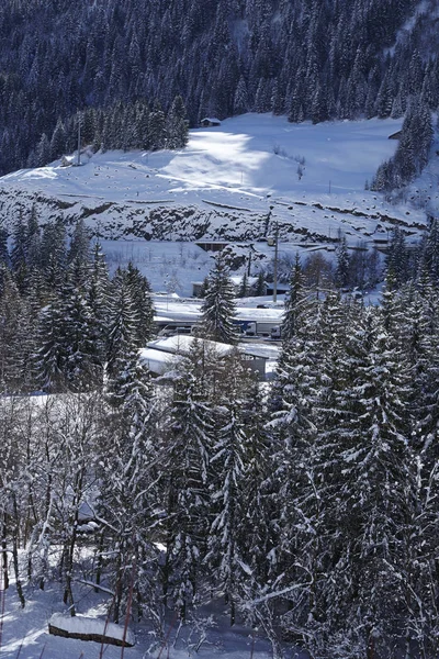 Ett Vinterlandskap Med Barrträd Kantonen Ticino Tessin Nära Gotthardmassivet — Stockfoto