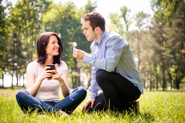 Mladý Muž Foukání Pampeliška Tváří Tvář Jeho Přítelkyně Drží Mobilní Stock Obrázky