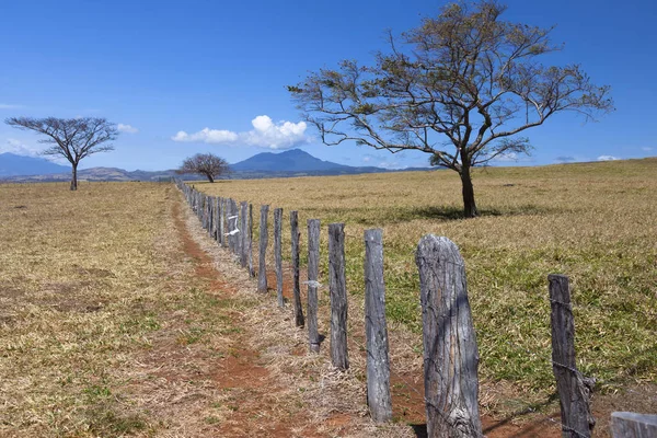 Farmland Guanacaste Region Costa Rica — стоковое фото