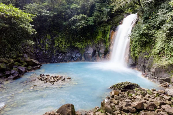 Rio Celeste Regenwald Von Costa Rica — Stockfoto