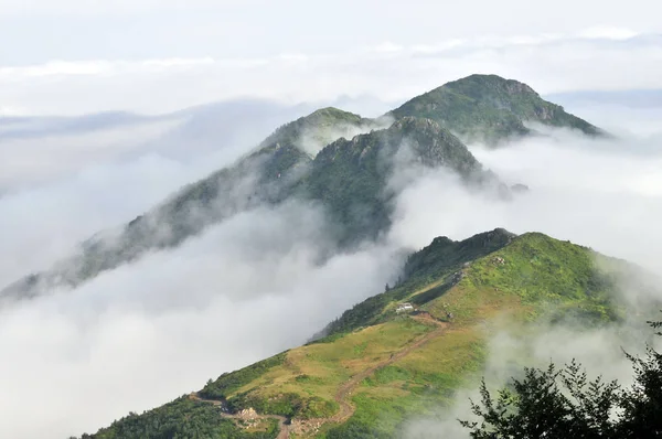 Sis Bulutlarla Kaplı Dağ Manzarası — Stok fotoğraf