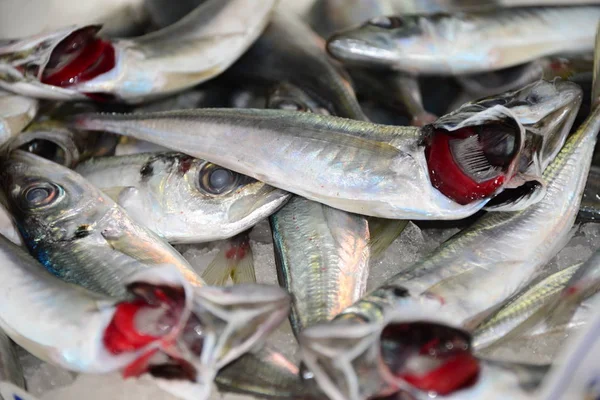 Mercado Semanal Espanha Salão Mercado Peixe Fresco Fresco — Fotografia de Stock