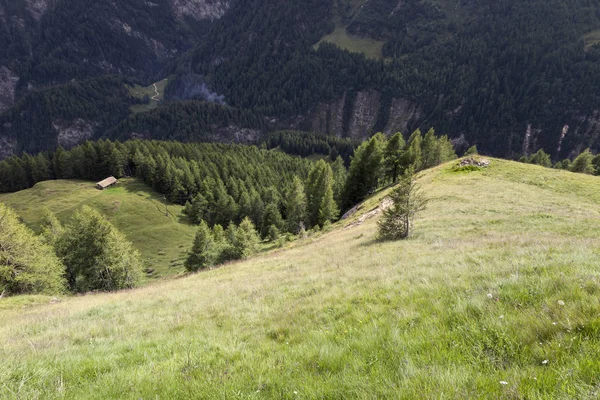 Avusturya Daki Dağ Manzarası — Stok fotoğraf