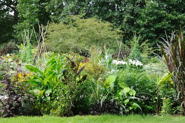 França Jardin Des Plantes Jardim Botânico Paris — Fotografia de Stock