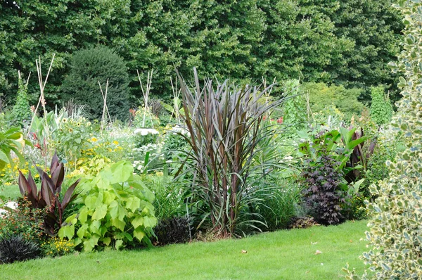 Francja Jardin Des Plantes Garda Botaniczna Paryżu — Zdjęcie stockowe