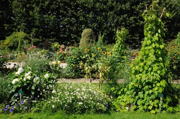 Francia Jardín Des Plantes Una Guarida Botánica París — Foto de Stock