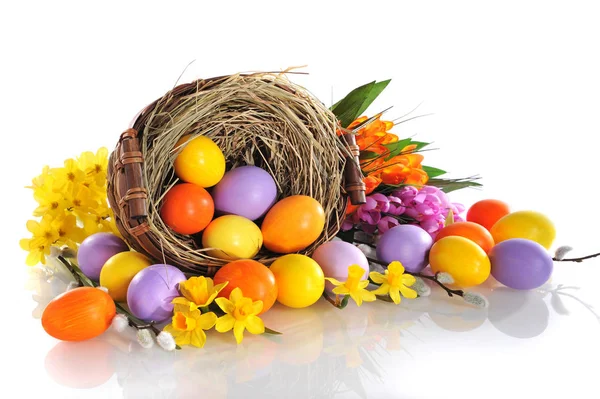 Real Painted Easter Eggs Violet Yellow Orange Flowers Easterest White — Stock Photo, Image