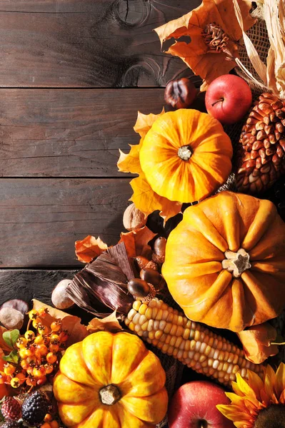 Thanksgiving Various Squashes Nuts Berries Corn Grain Wooden Boards — Foto Stock