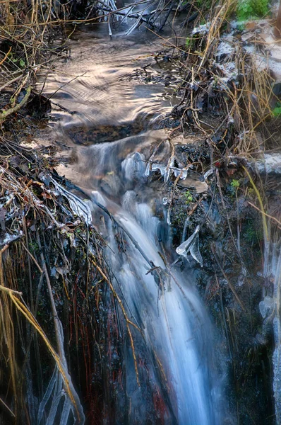 Impressions Ruisseau Hiver Gelé — Photo