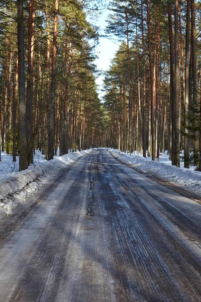 Estrada Nevada Paisagem Inverno — Fotografia de Stock