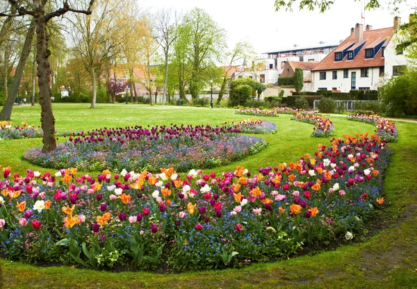 Nagy Virágágyások Tele Színes Virágokkal Házak Előtt Belgium — Stock Fotó