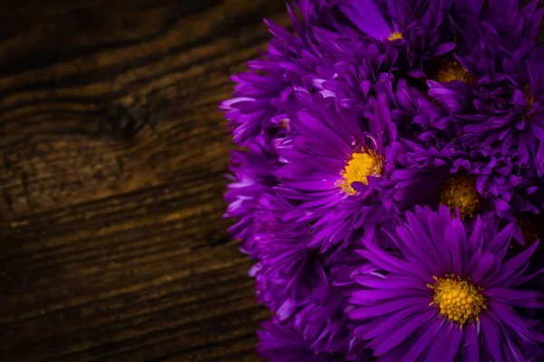 Fliederfarbene Chrysantheme Auf Holzgrund — Stockfoto