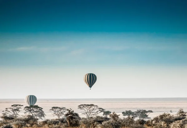 Två Luftballonger Himlen Över Serengeti Tidigt Morgonen — Stockfoto